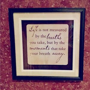 Inspirational Framed Wall Art 12”x12” Life is not measured…